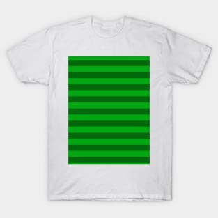 Irish Stripes T-Shirt